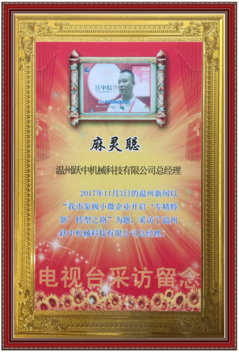 电视台采访留念